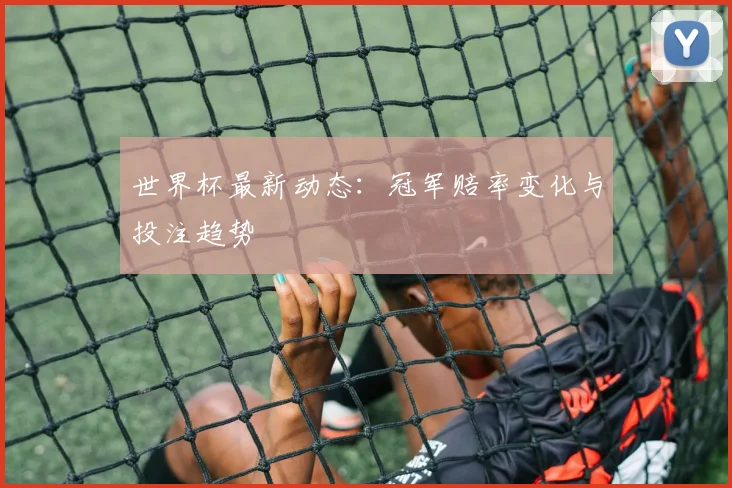 世界杯最新动态：冠军赔率变化与投注趋势